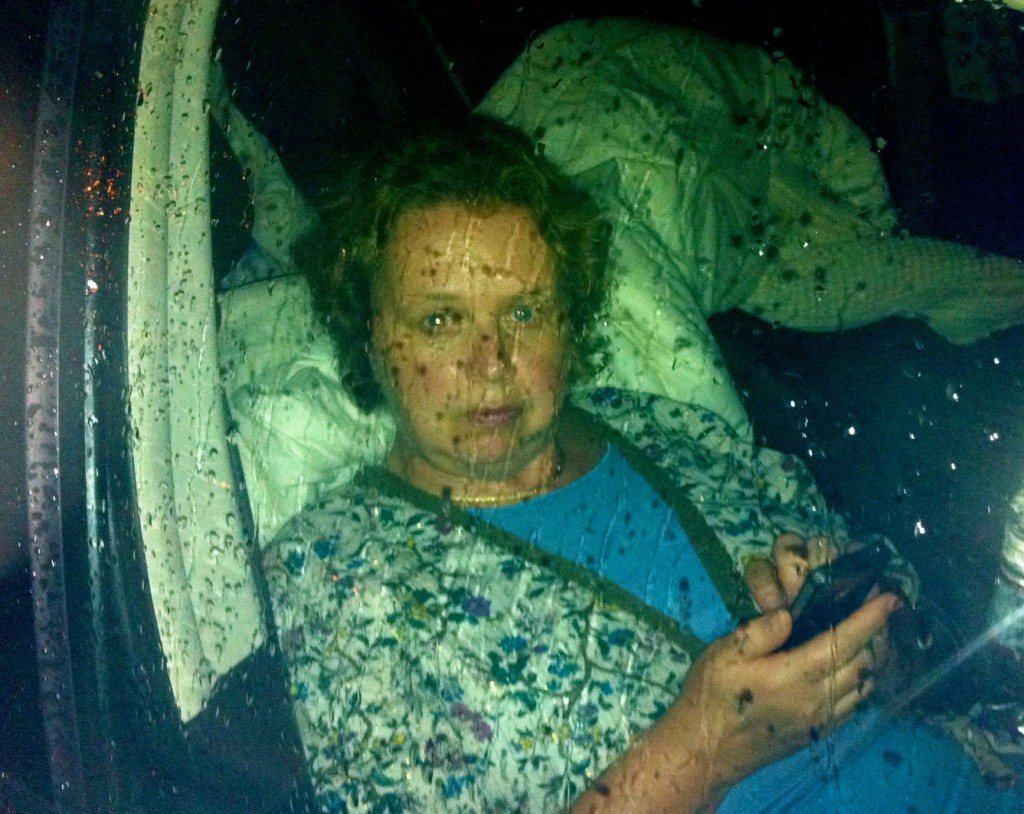 Malou efter en natt i bilen på Röda Kors-center i Pahua, Hawaii. Tsunamivarning efter jordbävning i Japan 10 mars 2011